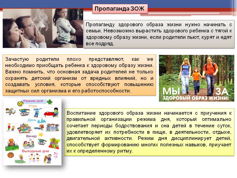 Сценарий здоровый образ жизни это Сценарий здоровый образ жизни это