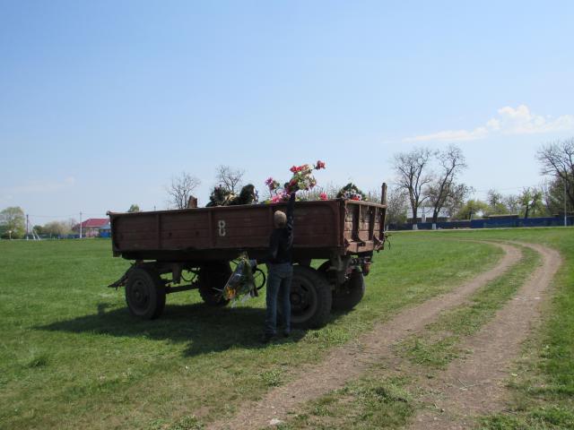 IMG 2968