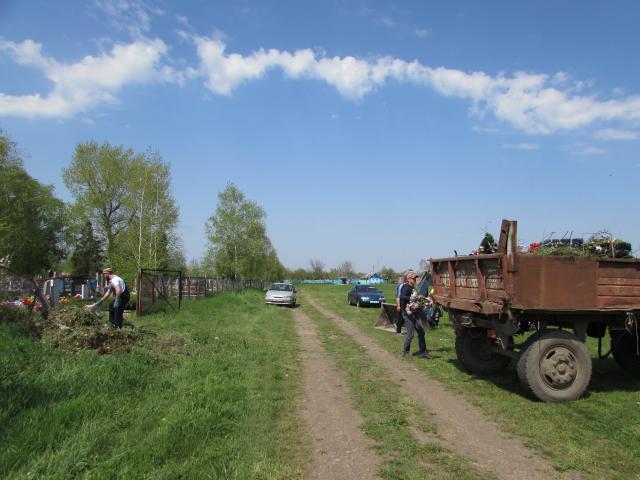 IMG 2972