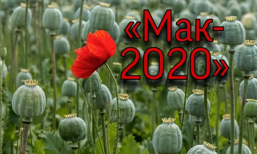 mak2020