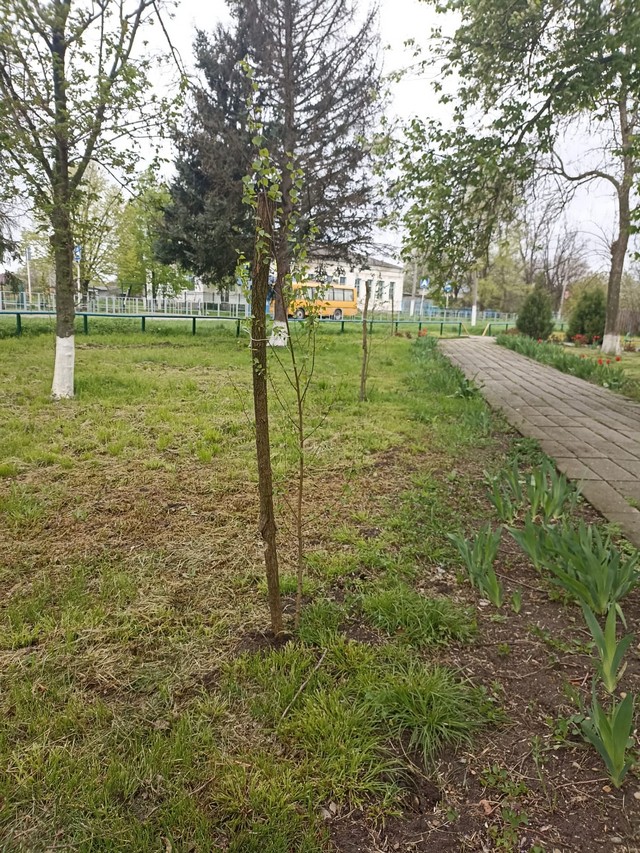 IMG2023 04 21 1153